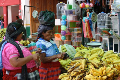 The Market in Tlacolula